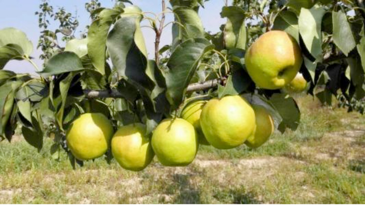 1569296278989657.jpg 19.jpg