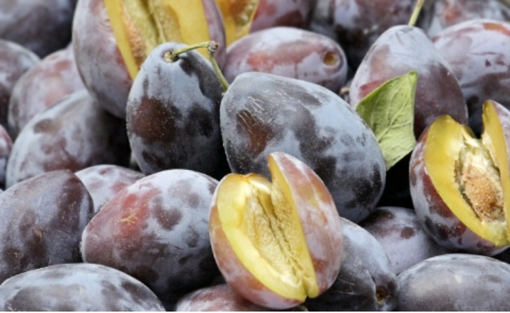 1569296352135712.jpg 20.jpg