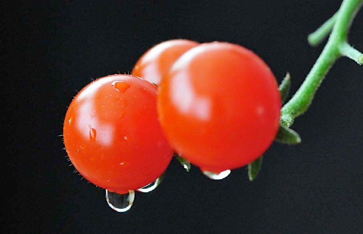 1569296738702052.jpg 25.jpg